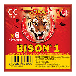 PETARD - F2 - BISON 1  -...