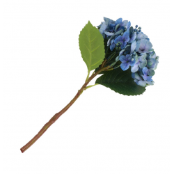 BRANCHE/TIGE - Hortensia...