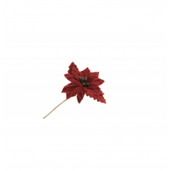 BRANCHE/TIGE - Poinsettia...
