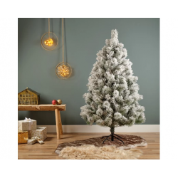 SAPIN - Vancouver enneigé...