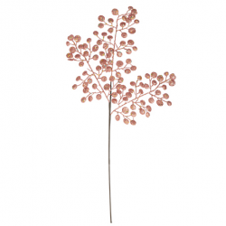 BRANCHE/PIQUET - Brindilles...