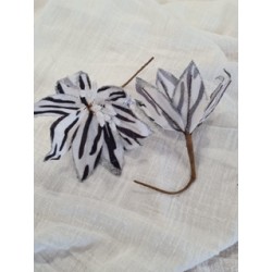 EDELWEISS - Zèbre (en tissu...