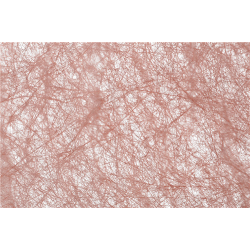 RUBAN/CHEMIN DE TABLE -...