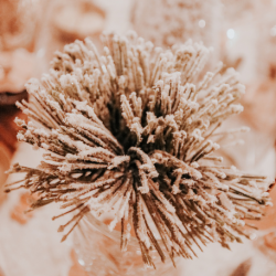 BOULE DE SAPIN - Vert...