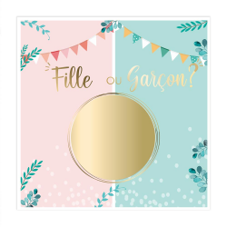 BABY SHOWER/GENDER REVEAL -...