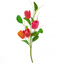 BOUQUET DE TULIPE - Avec...