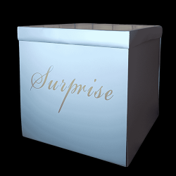 BOITE/CARTON - Argent pour...