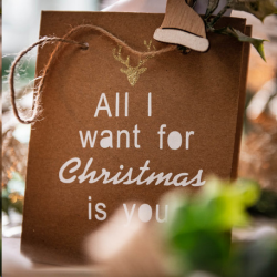 PINCE A LINGE - Bonnet de...