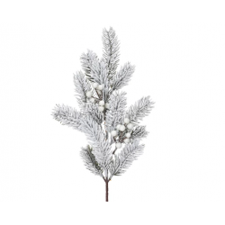 PIQUET/BRANCHE - Sapin avec...