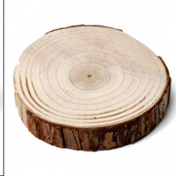 CENTRE DE TABLE - Rondin de...