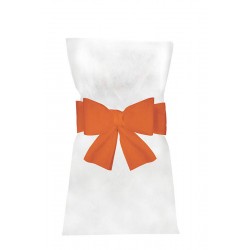 NOEUD DE CHAISE - Orange x...