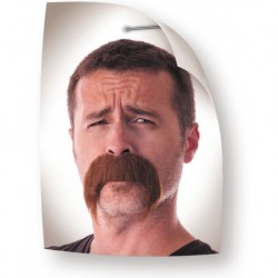 MOUSTACHE - Kéké marron...