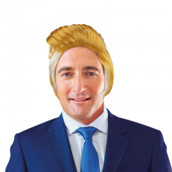 PERRUQUE - Donald Trump