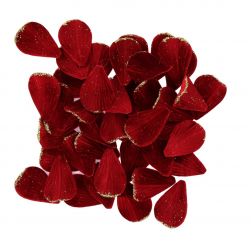 PETALE DE ROSE - Bordeaux...