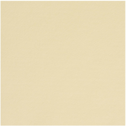 SERVIETTE CELISOFT/INTISSE...