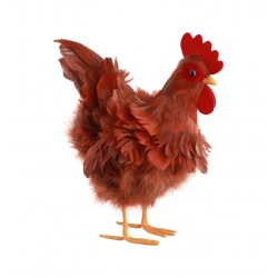 POULE - Rousse à plumes (33cm)