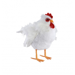 POULE - Blanche à plumes...