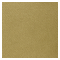 SERVIETTE CELISOFT/INTISSE...