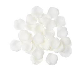 PETALE DE ROSE - Ivoire x...