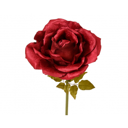 PIQUET/TIGE - Rose bordeaux...