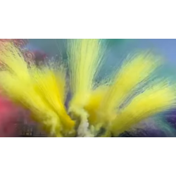 FUMIGENE - F2 - FUMIGENE...