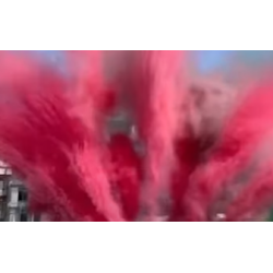 FUMIGENE - F2 - FUMIGENE...