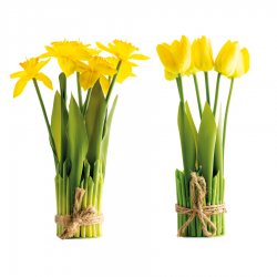 BOUQUET - Tulipes ou...