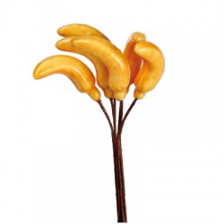 BANANE - Sur tige (en...