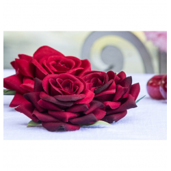 ROSE - Rouge x 6 (effet...
