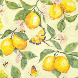 SERVIETTE - Citrons et...