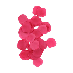 PETALE DE ROSE - Framboise...