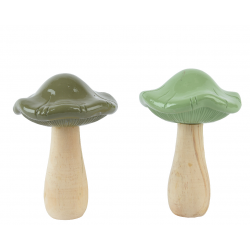 CHAMPIGNON - Avec corolle...