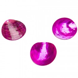 DECOR DE TABLE - Nacre...