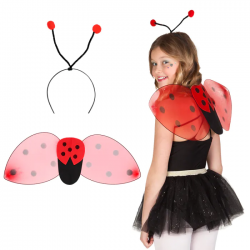 COCCINELLE - Ailes, serre...