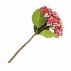 BRANCHE/TIGE - Hortensia...