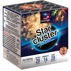 ARTIFICE - F2 -  STAR...