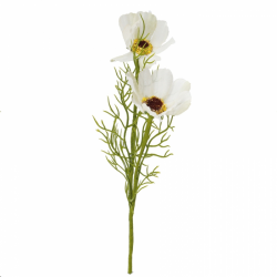 PIQUET - Anémone écru (20cm)