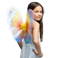 AILE - Papillon multicolore...