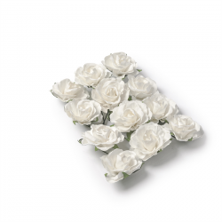 ROSE - Blanche sur tige x...