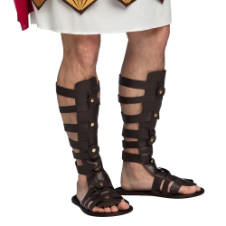 SANDALE - Romain/gladiateur...