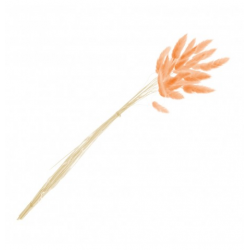 BOUQUET/PIQUET - Lagurus...