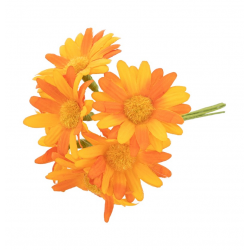MARGUERITE - Jaune/orange...