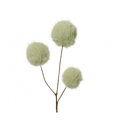 BRANCHE/PIQUET - Boule de...