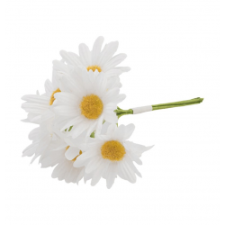 MARGUERITE - Blanche avec...