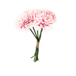 BOUQUET - Dalhia rose...