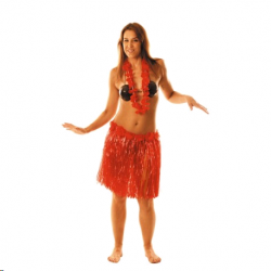 JUPE - Hawai rouge avec ses...