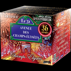 ARTIFICE - F2 - LE 31...
