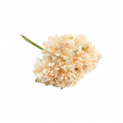BOUQUET/PIQUET - Nymphéa...