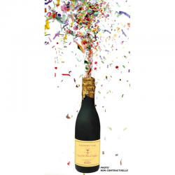 BOUTEILLE DE CHAMPAGNE A...