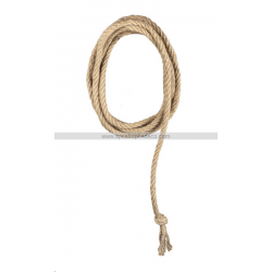 LASSO/CORDE - Cow...